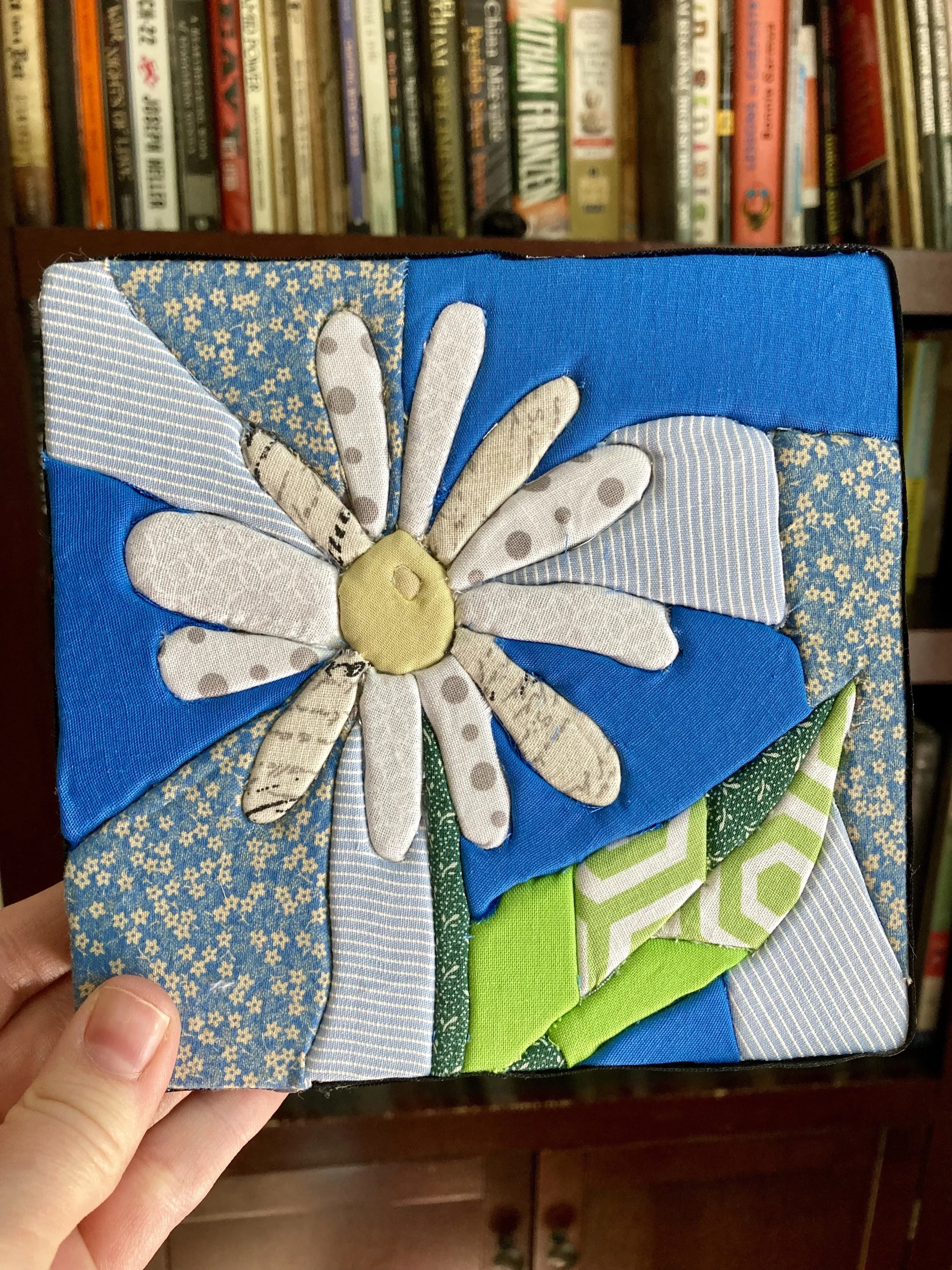 Pic 34 MT Kin Daisy.jpg