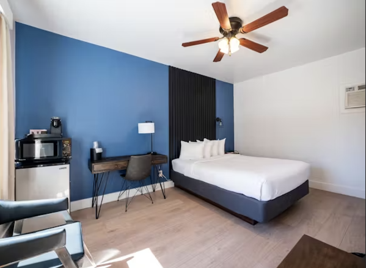 A hotel room with a bed, blue accent wall, desk, chair, microwave, mini-fridge, and ceiling fan.