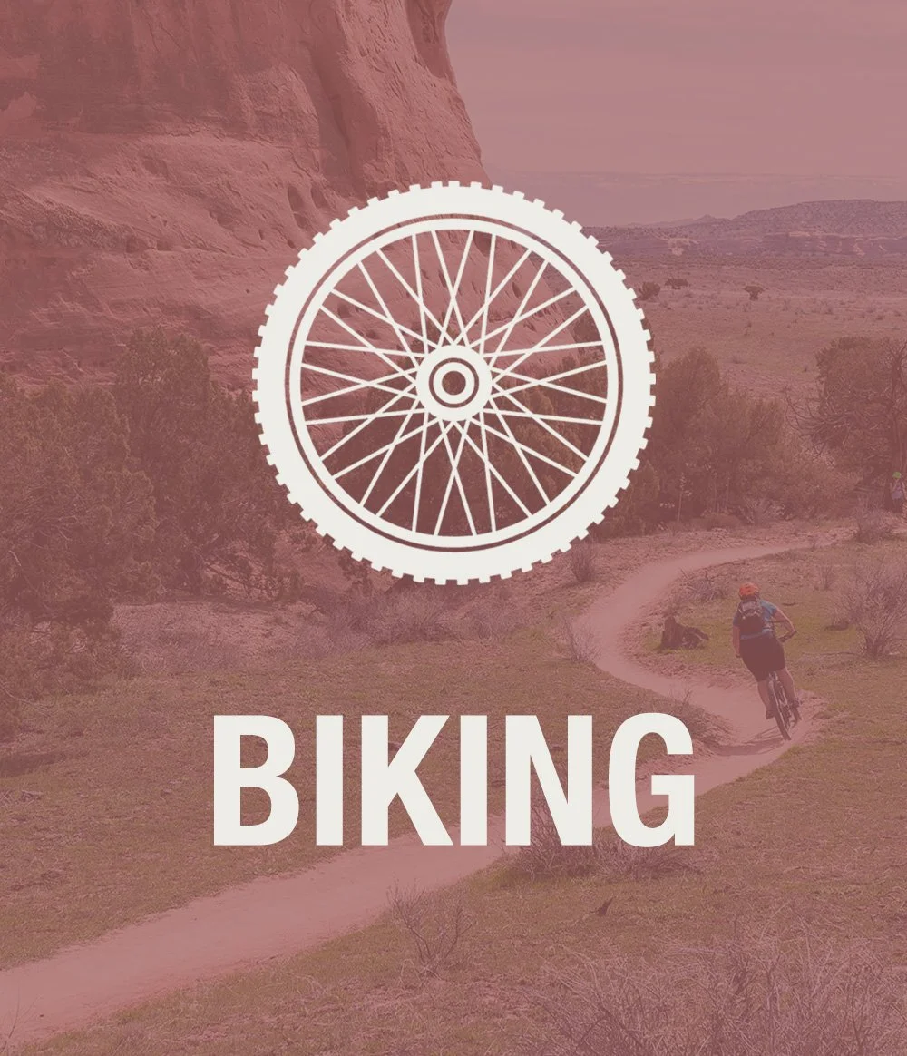 A graphic of a bike wheel overlaying a desert landscape with a cyclist riding on a winding trail, and the word 'BIKING' at the bottom.