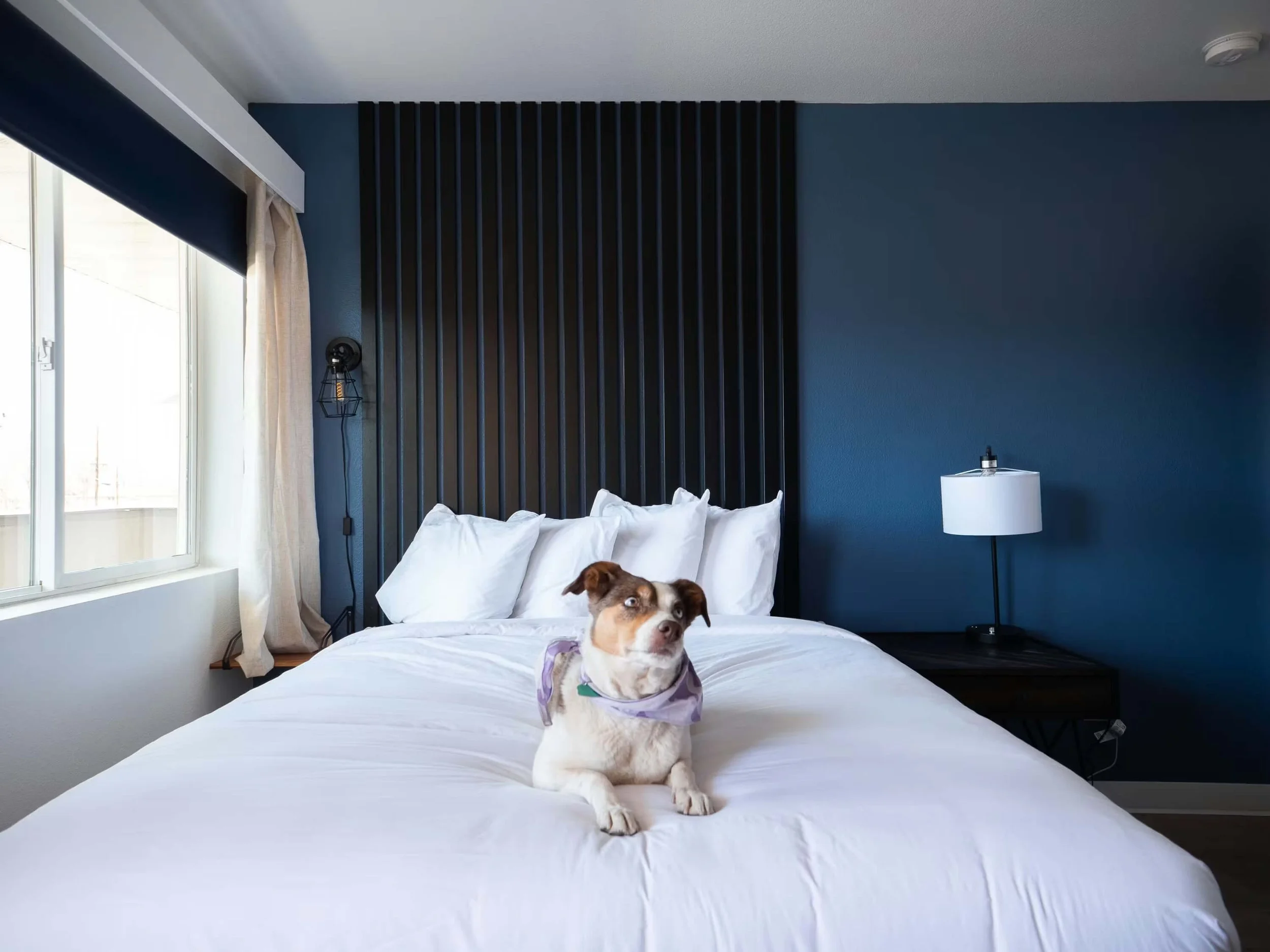 Balanced Rock Inn - single queen room3.jpg