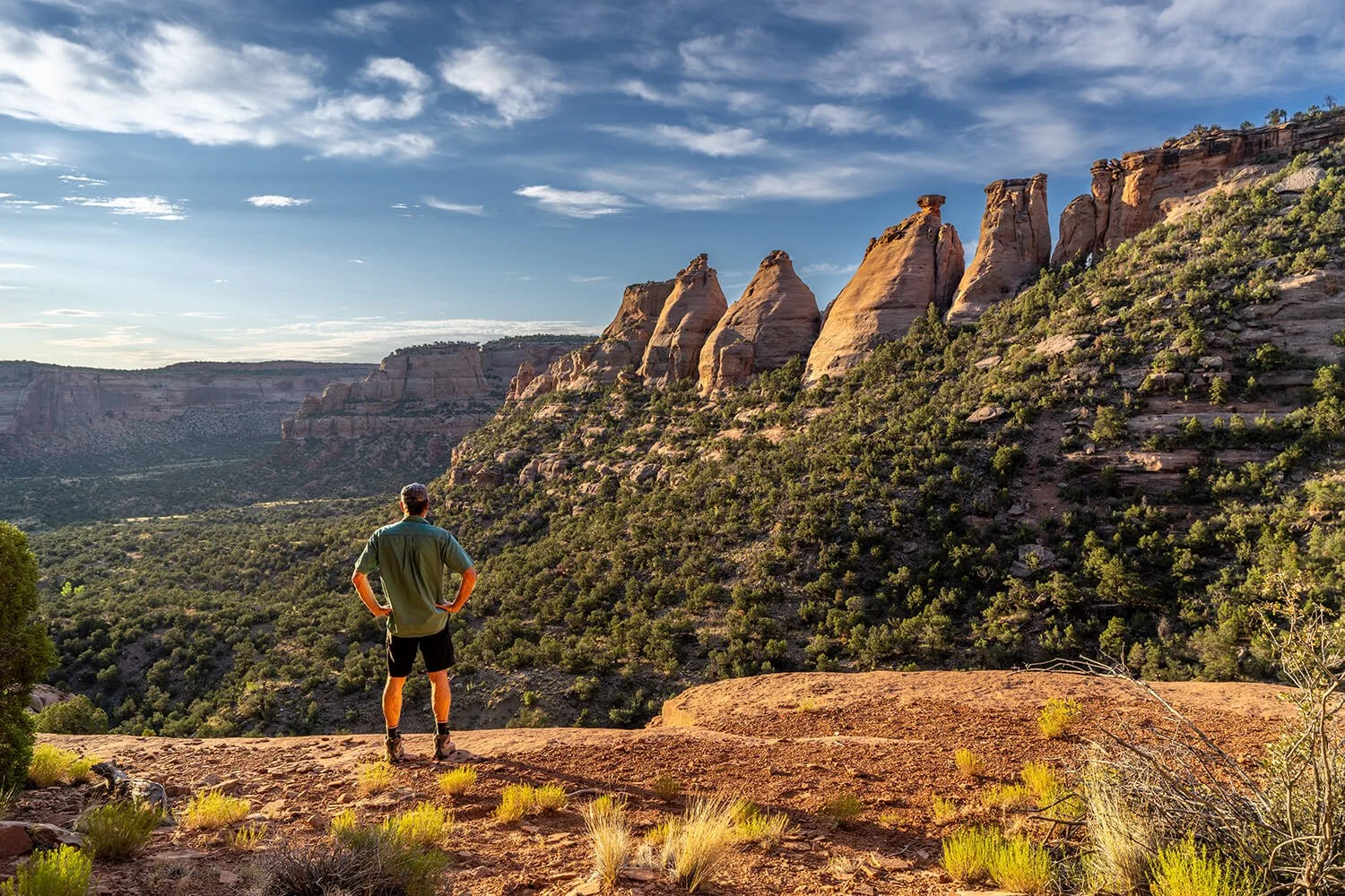 A man standing on a rocky ledge overlooking a canyon with layered rock formations and sparse greenery under a partly cloudy sky.