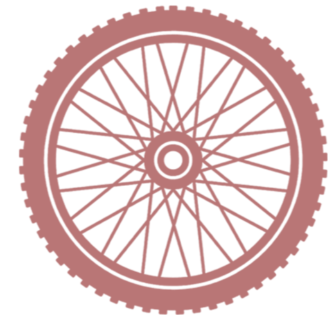 A bicycle wheel with a pink hub and spokes, and a pink tire.