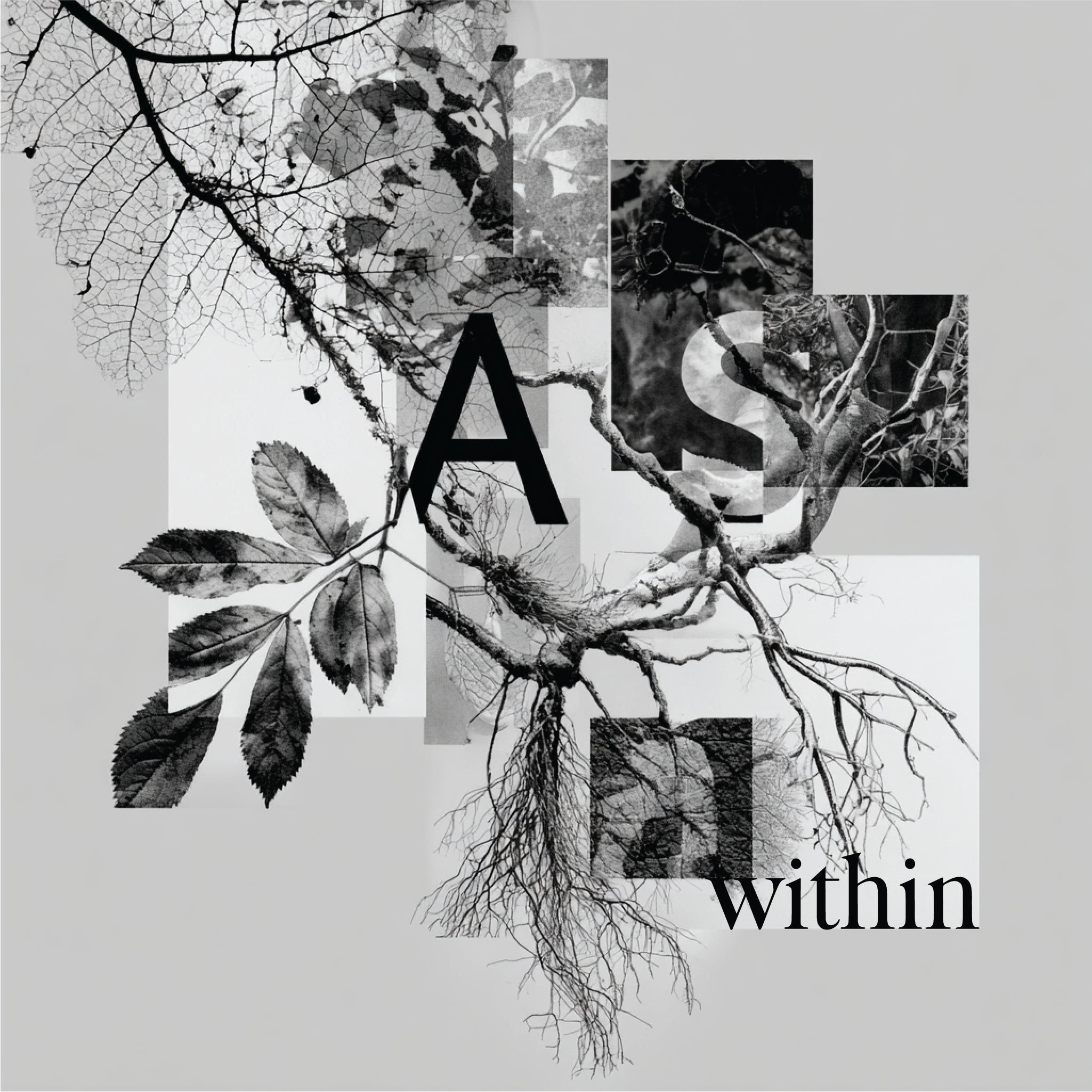 A collage with elements from nature with "As Within" embedded.