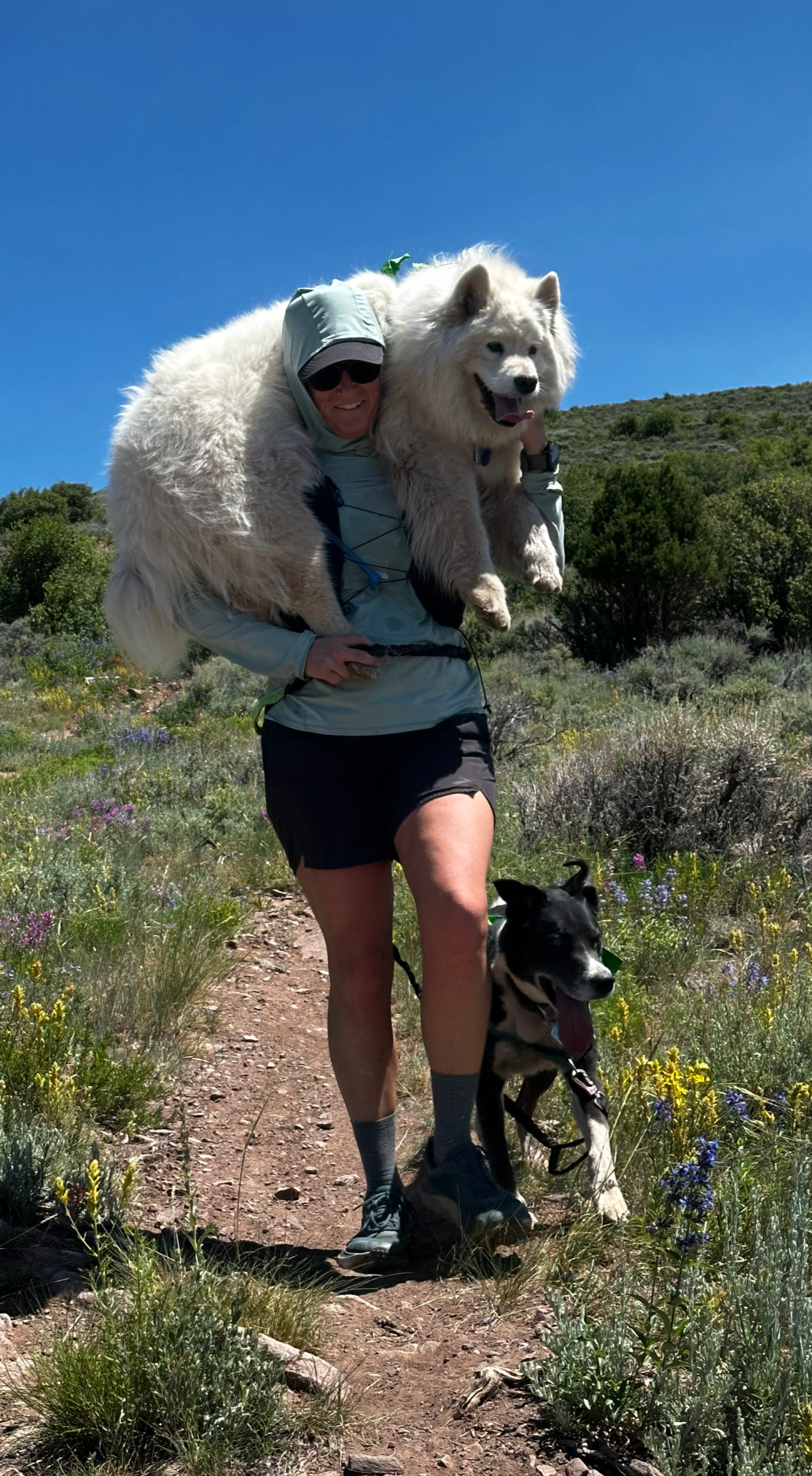 Erin on a trail run with her dogs. Her dog got hot so needed a lift back home - Erin carried her.