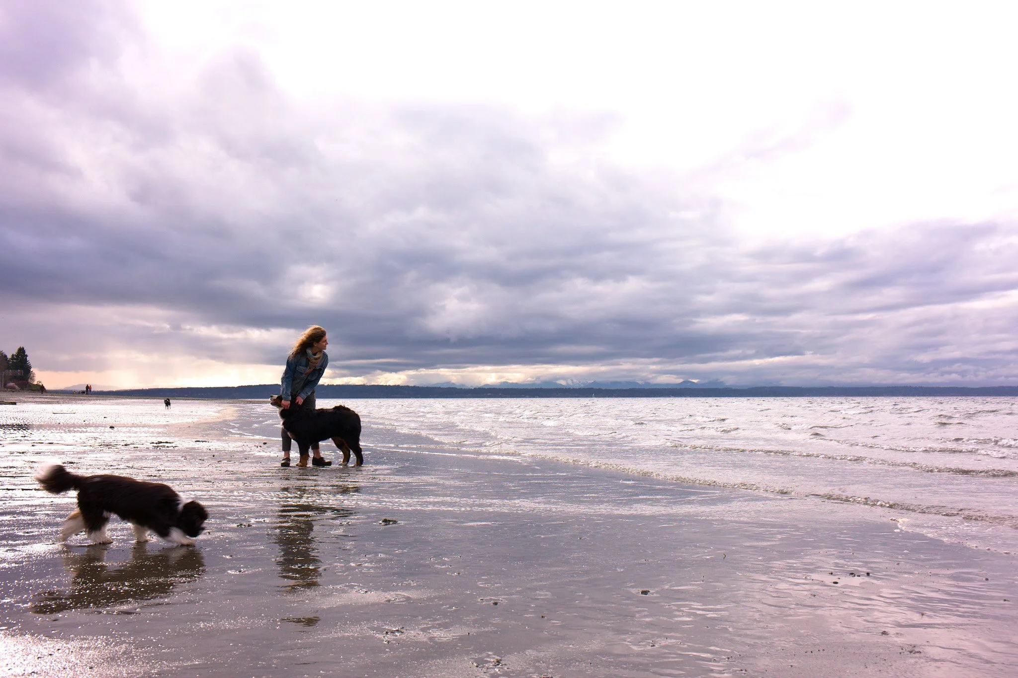 with dogs.jpg