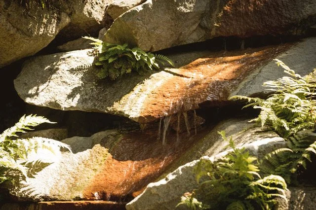 Close-up of rocks with small waterfalls and green ferns in a natural setting.
