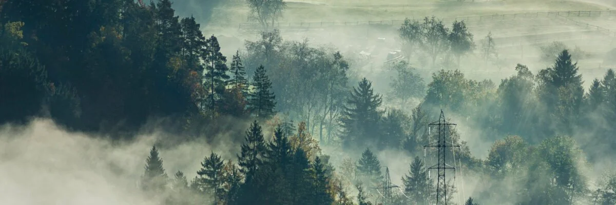 The Scenery of Life Living Itself