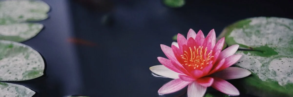 Mind, Body &amp; World Liberate Together