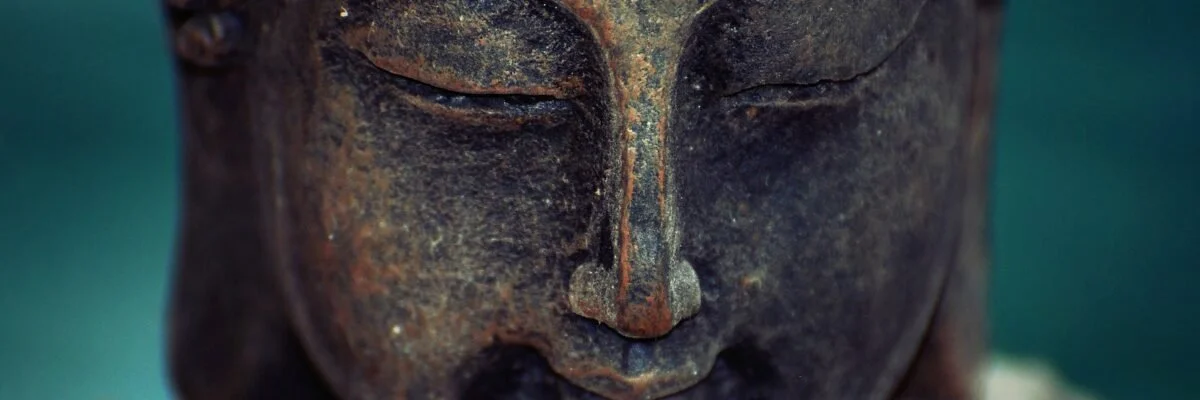 Wandering Mind as Teacher