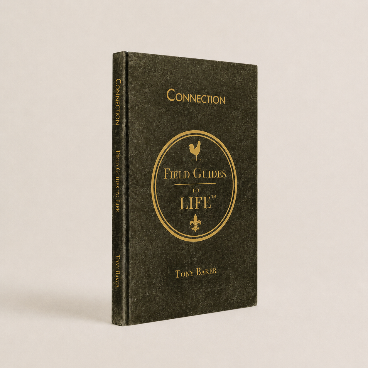 Connection-v2_ecom_1-1.png