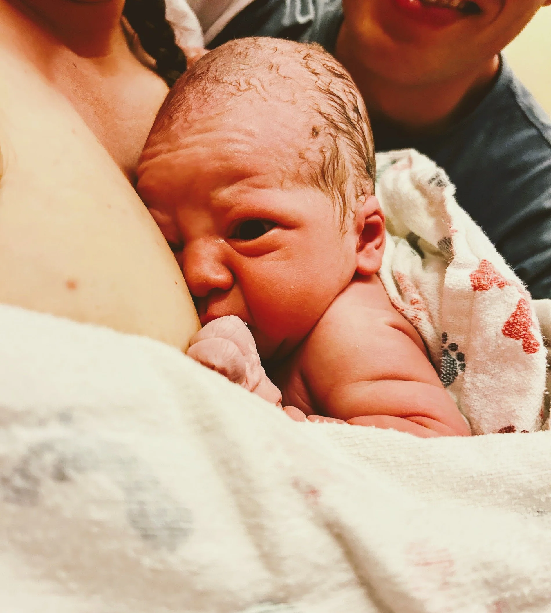 Close-up of a newborn baby being held, with the baby's face visible and some wet hair on the head.