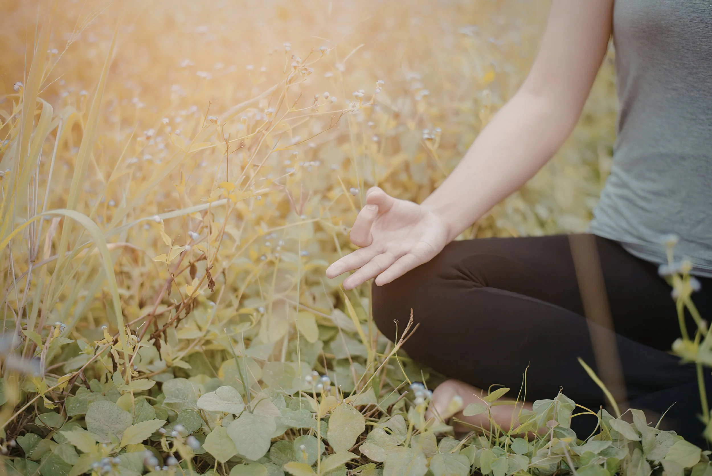 Person sitting outdoors among yellowish-green plants, visible arm and part of gray shirt, hand resting on knee.