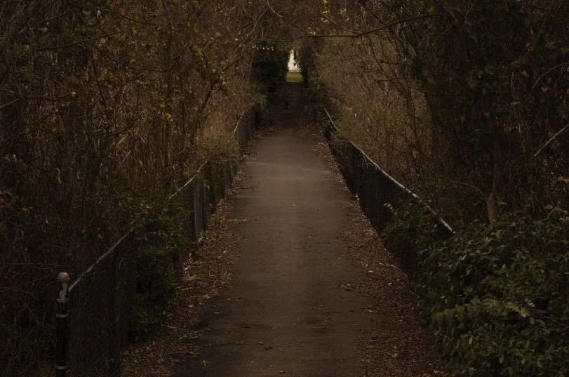 A narrow, paved pathway flanked by dense bushes and trees, with a fence on both sides, disappearing into the distance under a dark, overcast sky.