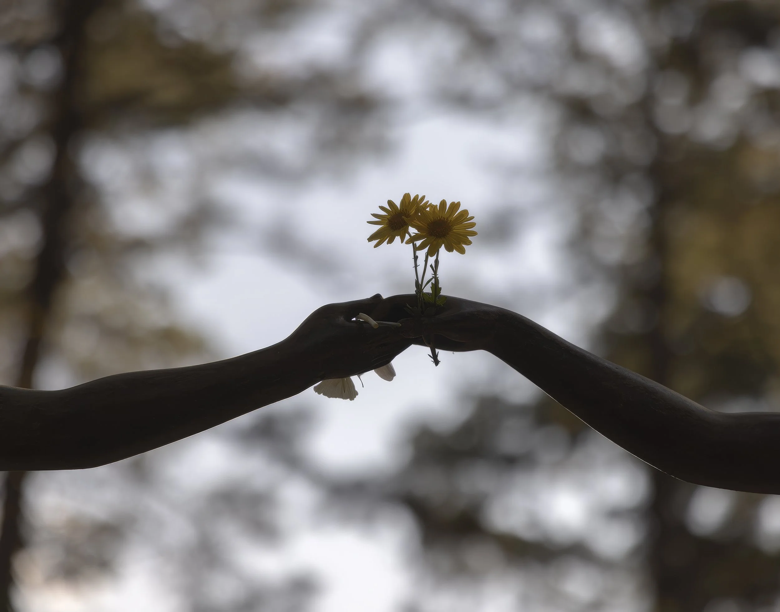 Dowden-Crockett-2-Reaching-Photography-11x14x2”-2022.jpg