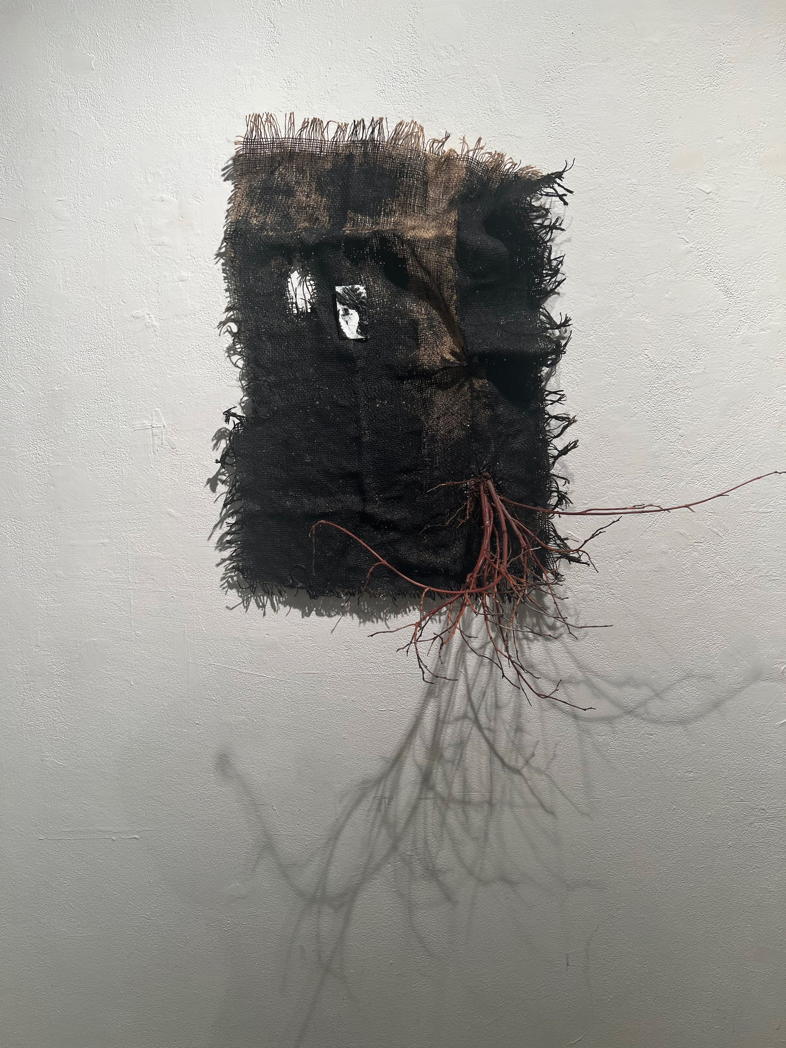Burlap Branch.jpg