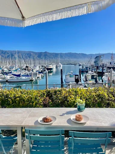 Dart Harbor.webp