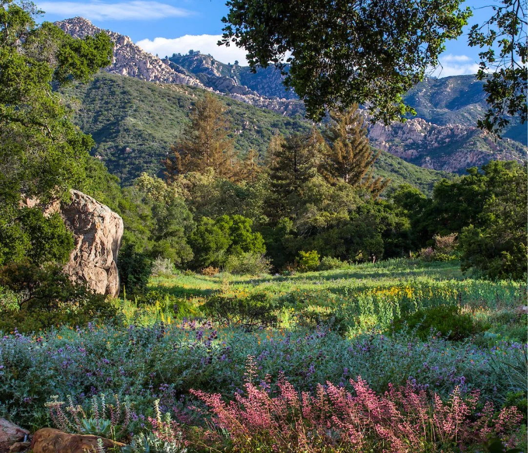 SB Botanic Garden.jpg
