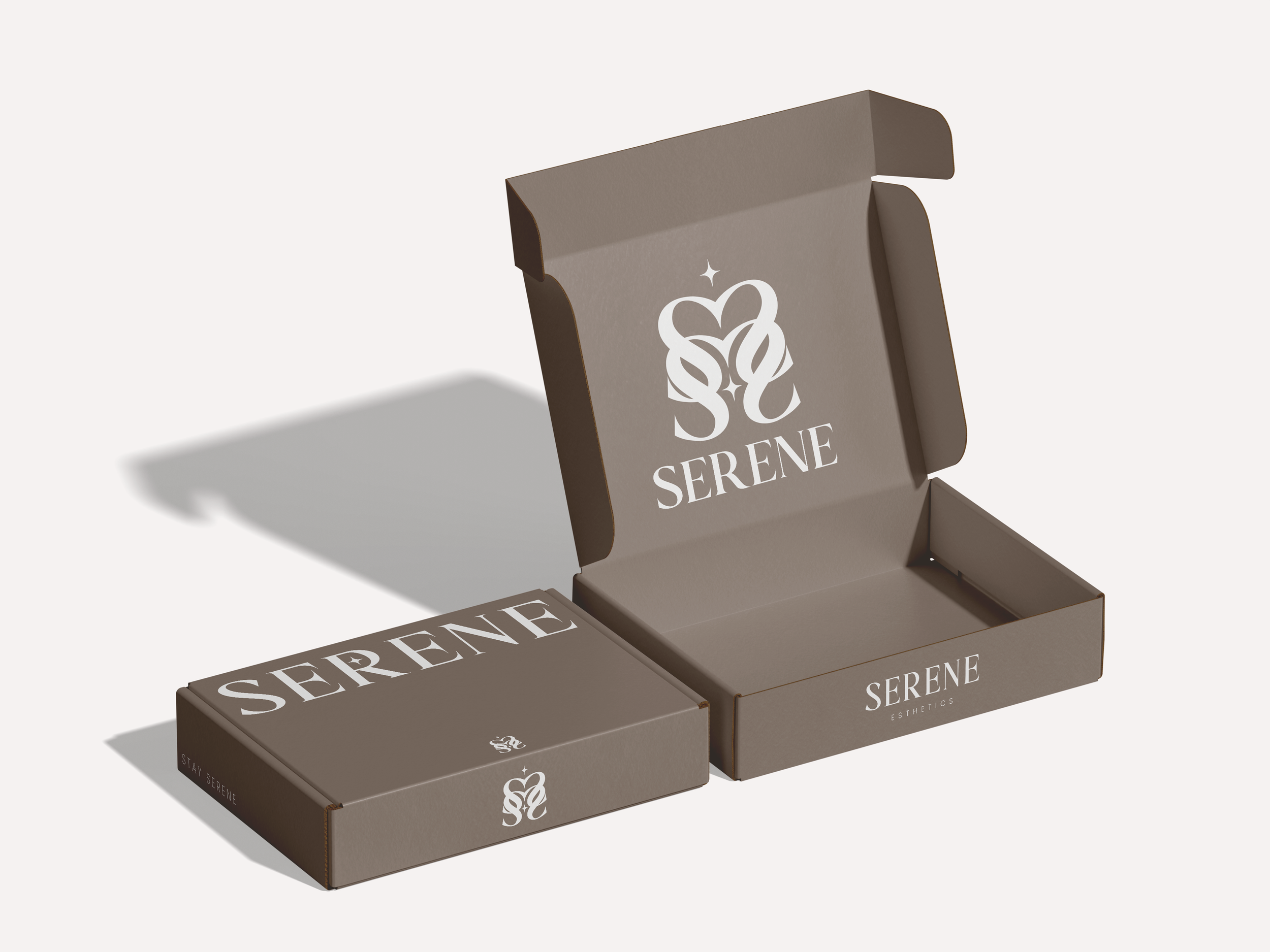 Mailing Box Mockup 1.png