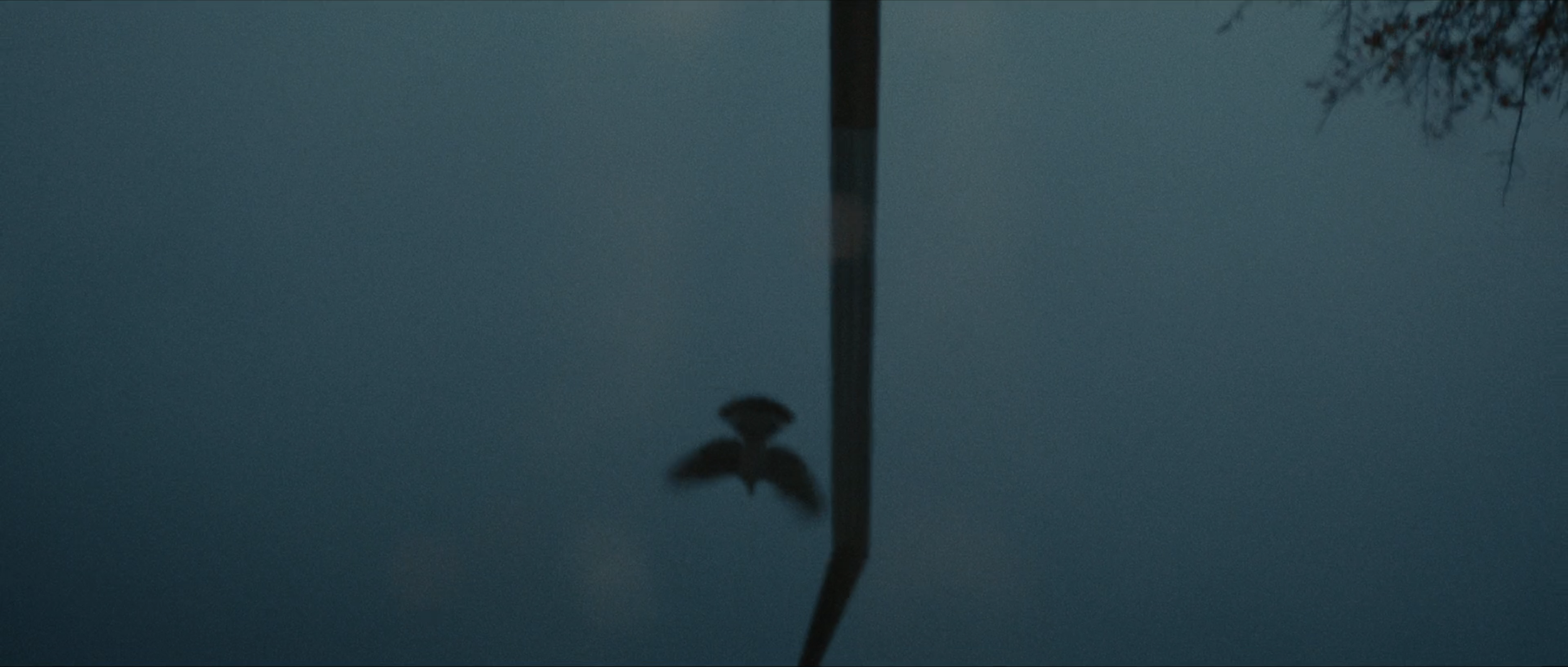 Screen Shot 2026-04-11 at 5.20.41 PM.png