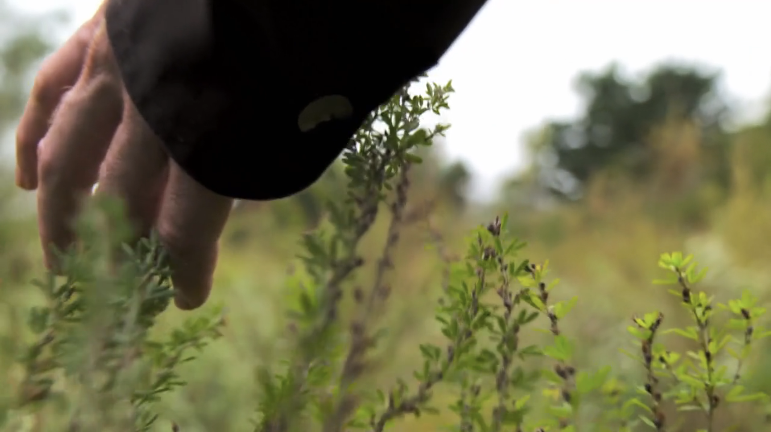 Screen Shot 2026-04-14 at 7.40.57 AM.png