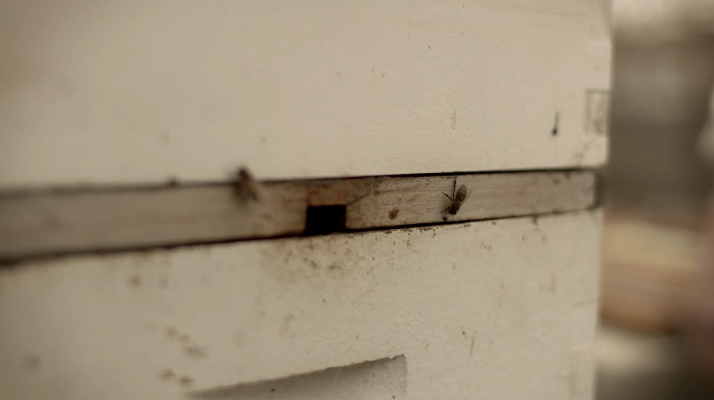 Screen Shot 2026-04-13 at 12.01.45 PM.png