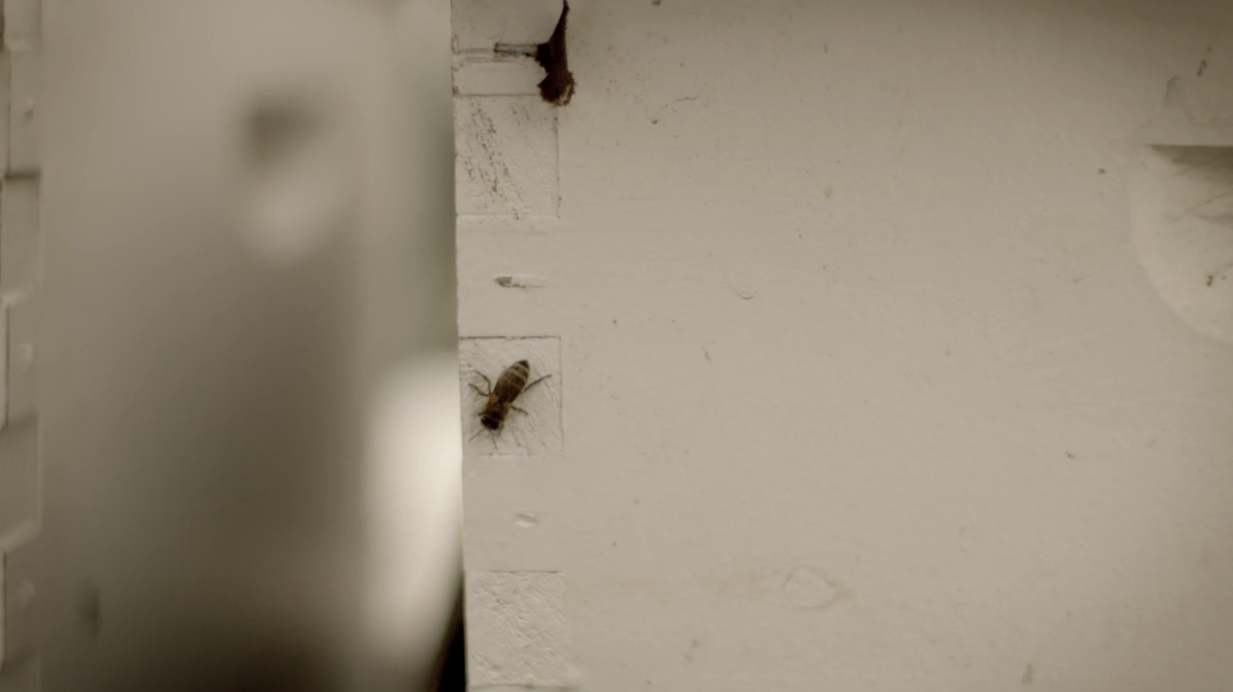 Screen Shot 2026-04-13 at 12.01.24 PM.png