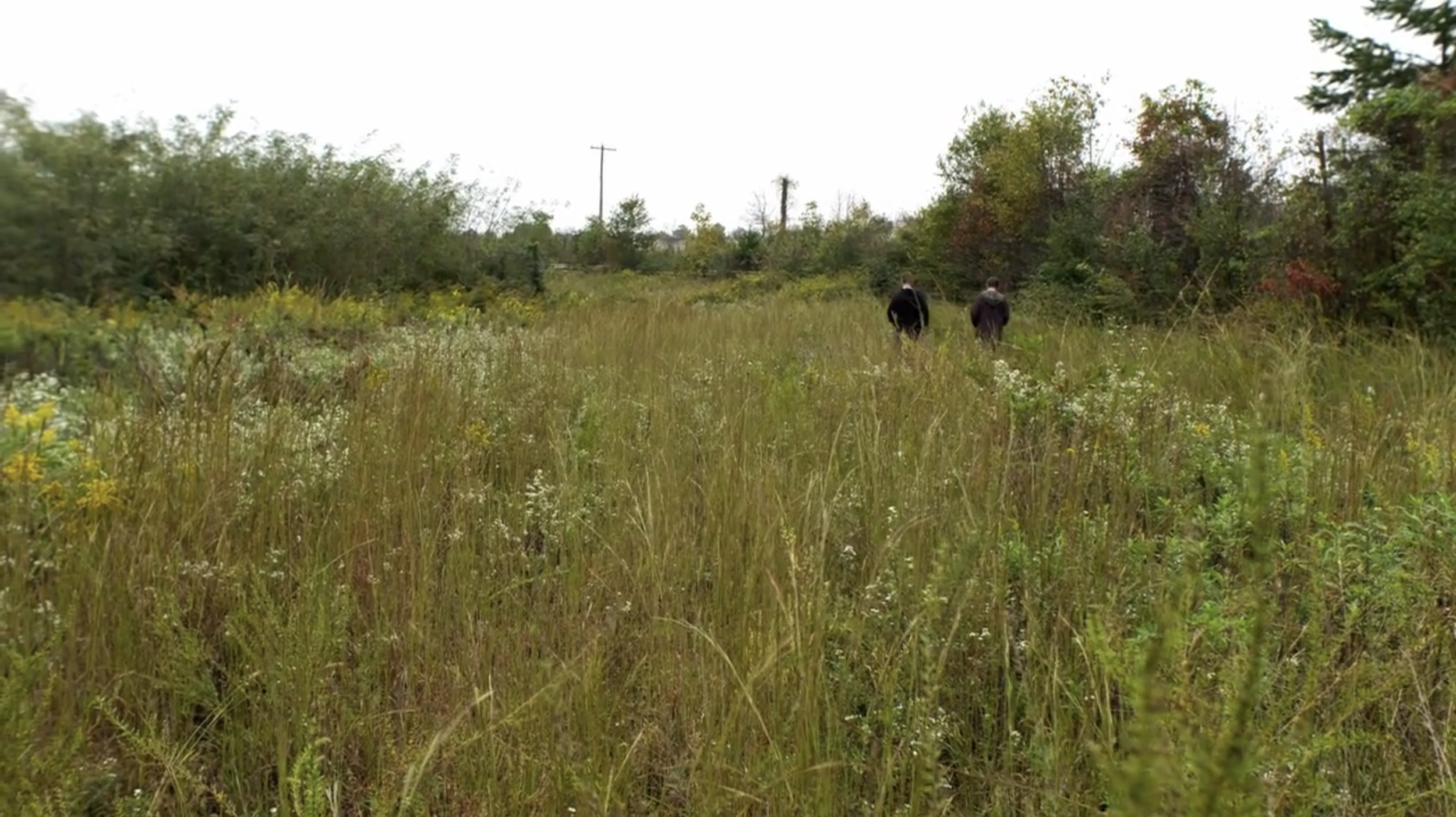 Screen Shot 2026-04-14 at 7.44.14 AM.png