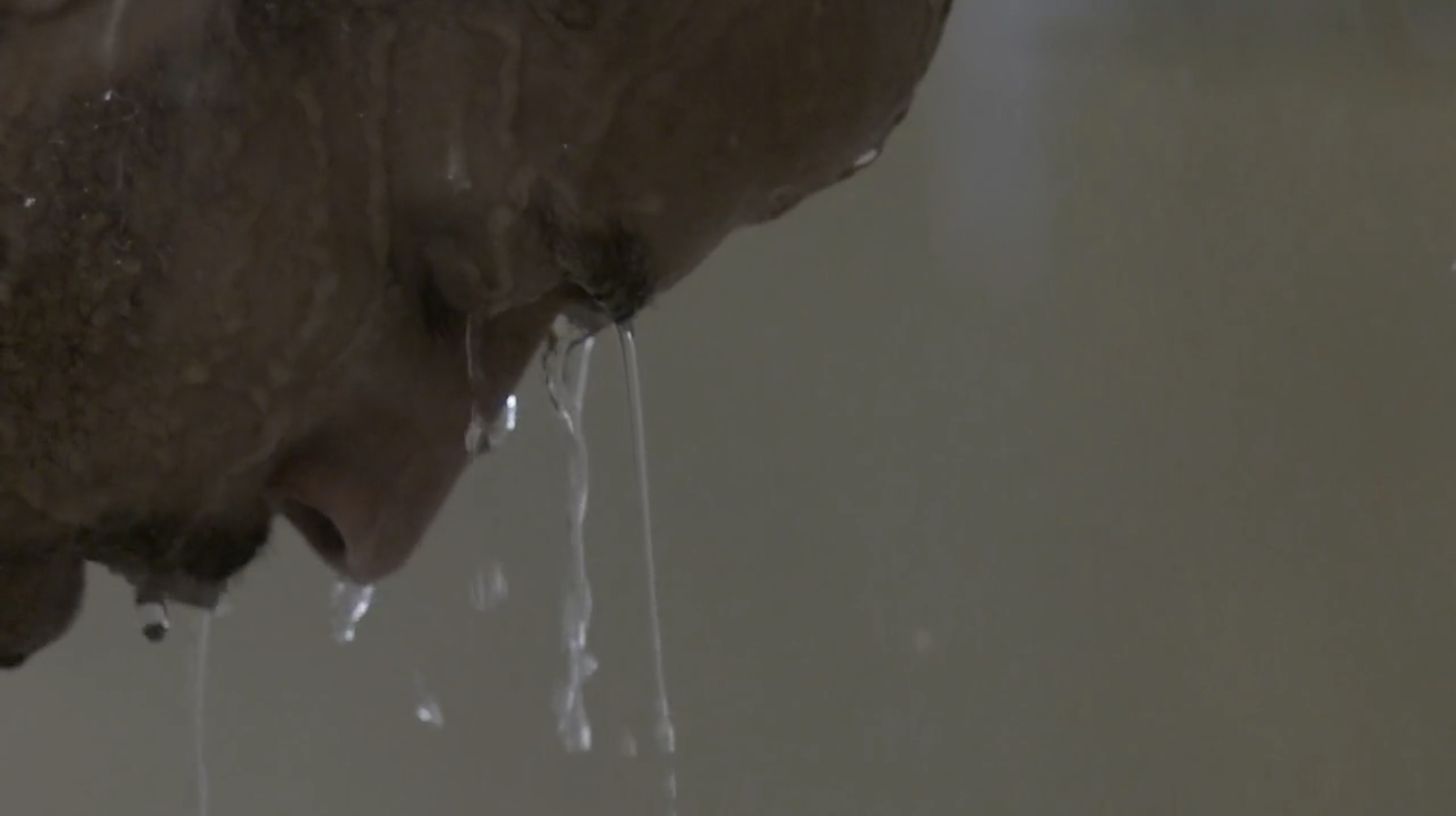 Screen Shot 2026-04-13 at 1.05.23 PM.png