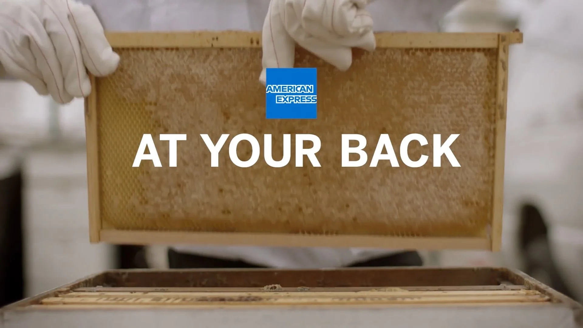 American Express | Sweet Beginnings