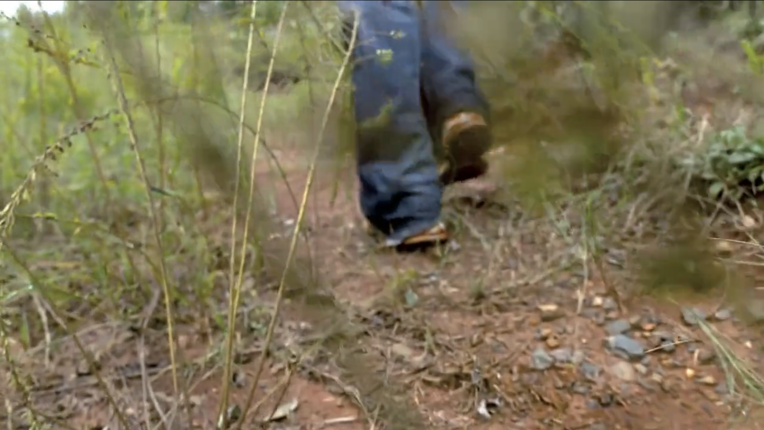 Screen Shot 2026-04-14 at 7.40.39 AM.png