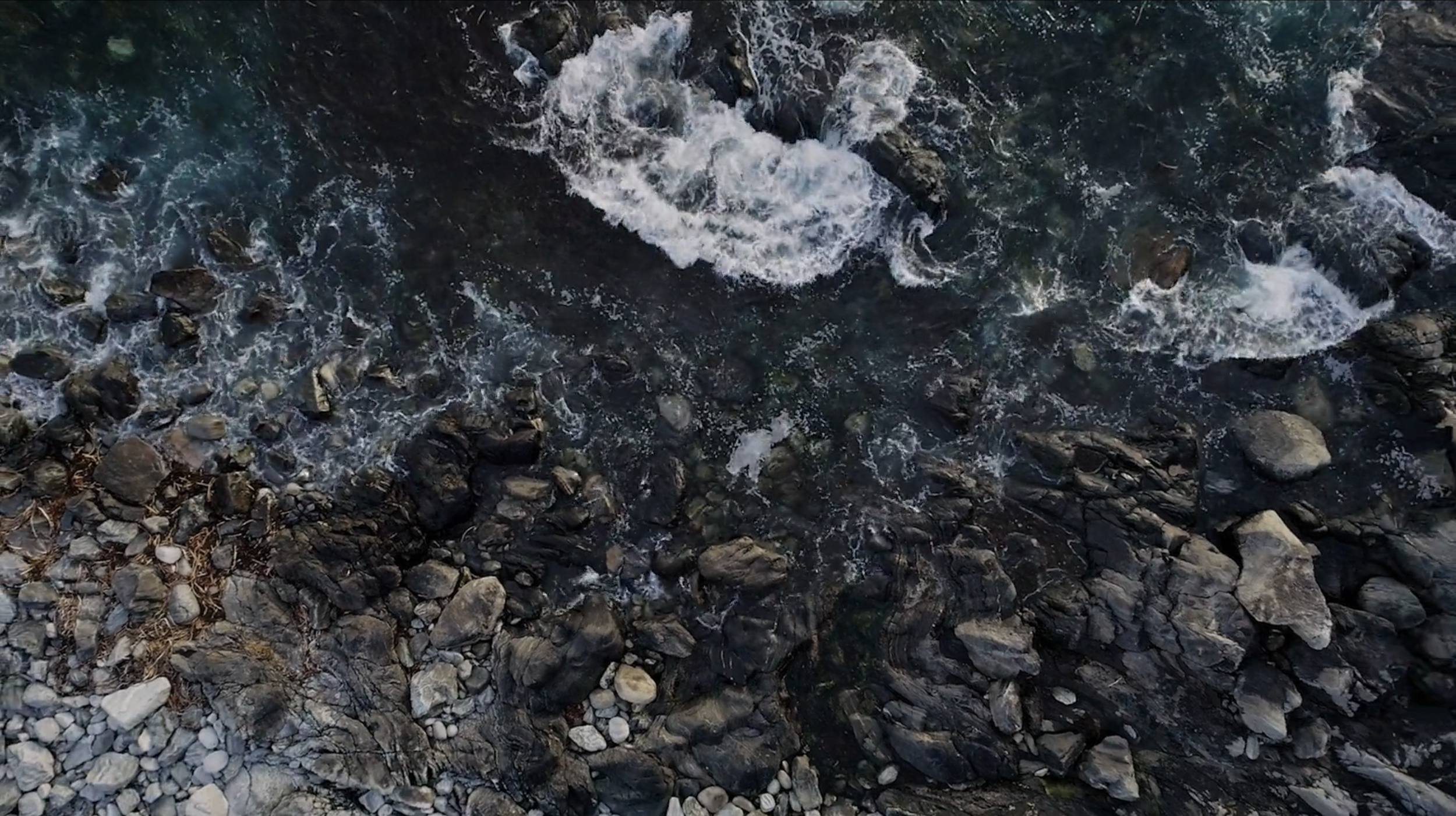 Screen Shot 2026-04-13 at 11.05.19 AM.png