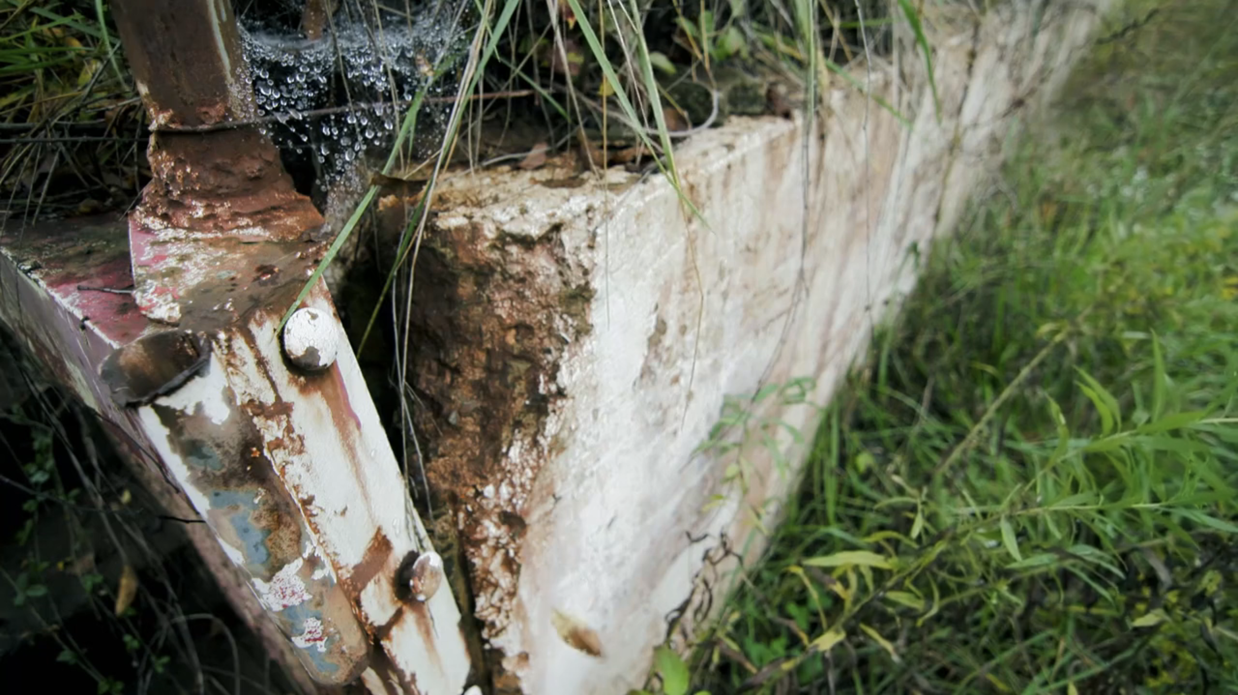 Screen Shot 2026-04-14 at 7.41.57 AM.png