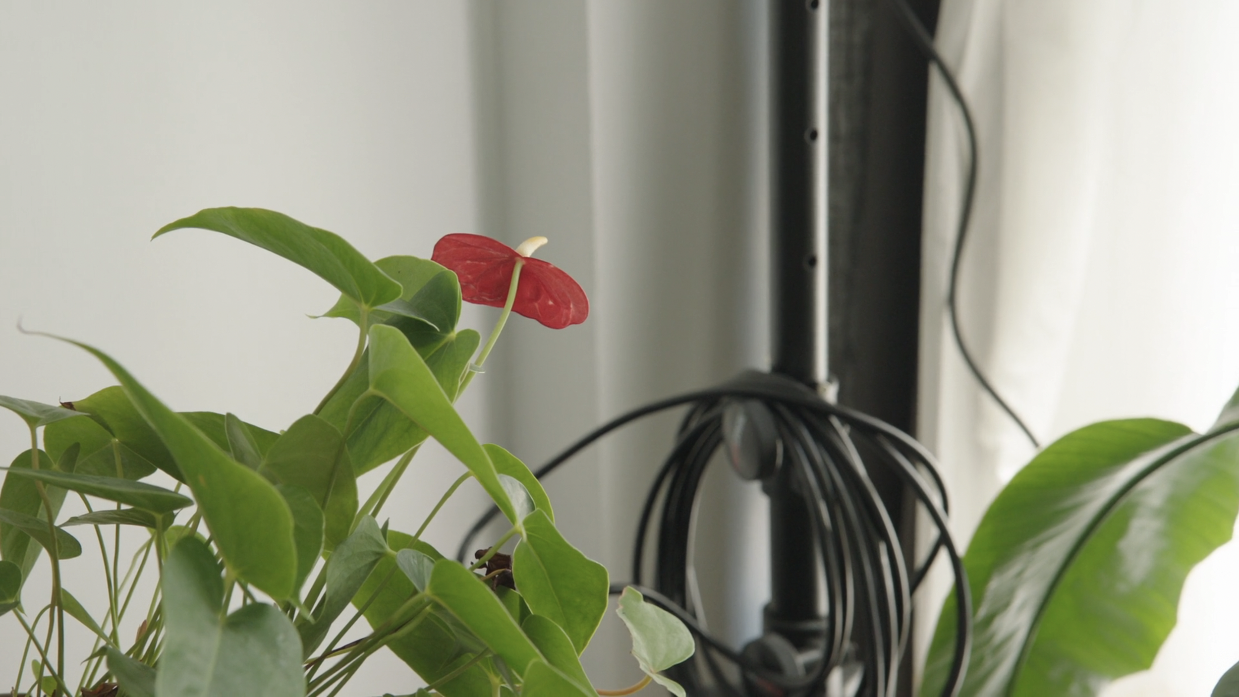 Screen Shot 2026-04-09 at 3.39.28 PM.png