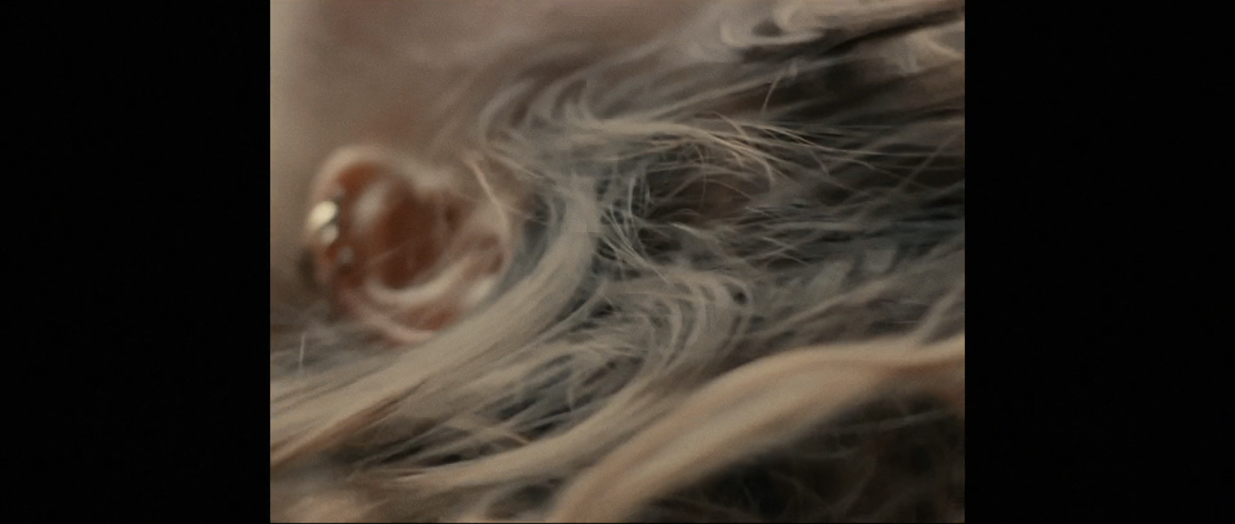 Screen Shot 2026-04-11 at 5.23.28 PM.png