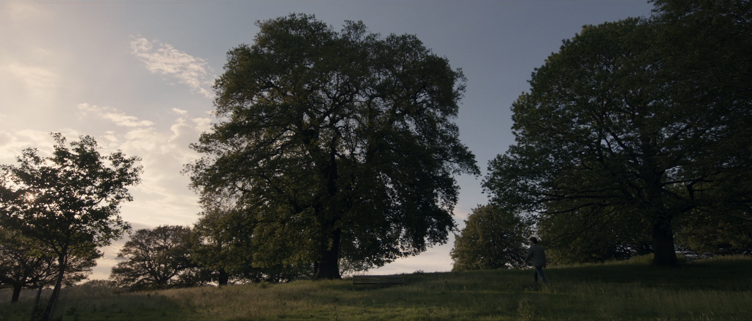 Screen Shot 2026-04-11 at 7.23.28 PM.png