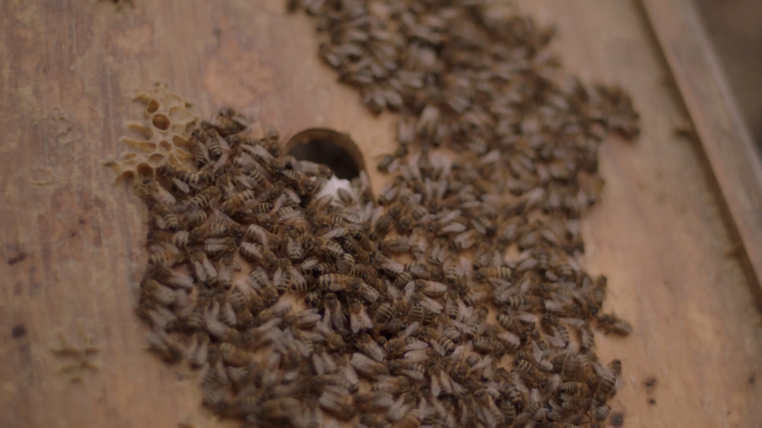 Screen Shot 2026-04-13 at 12.06.33 PM.png