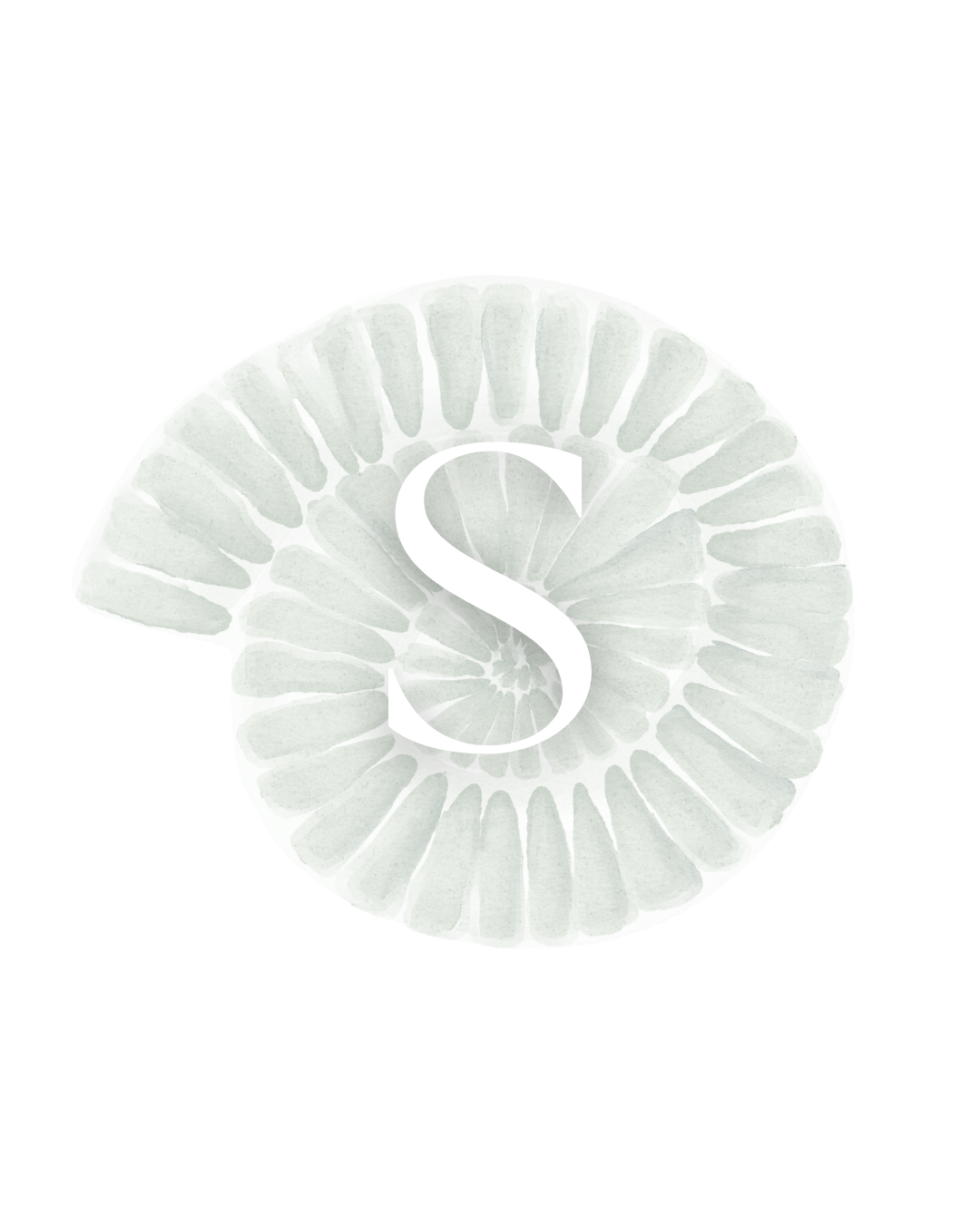 A slice of kiwi fruit with a large white letter 'S' overlayed.