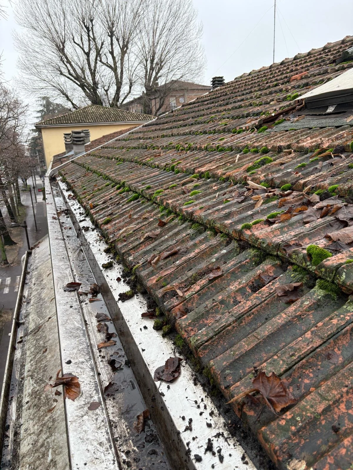 WhatsApp Image 2026-04-08 at 20.58.29.jpeg