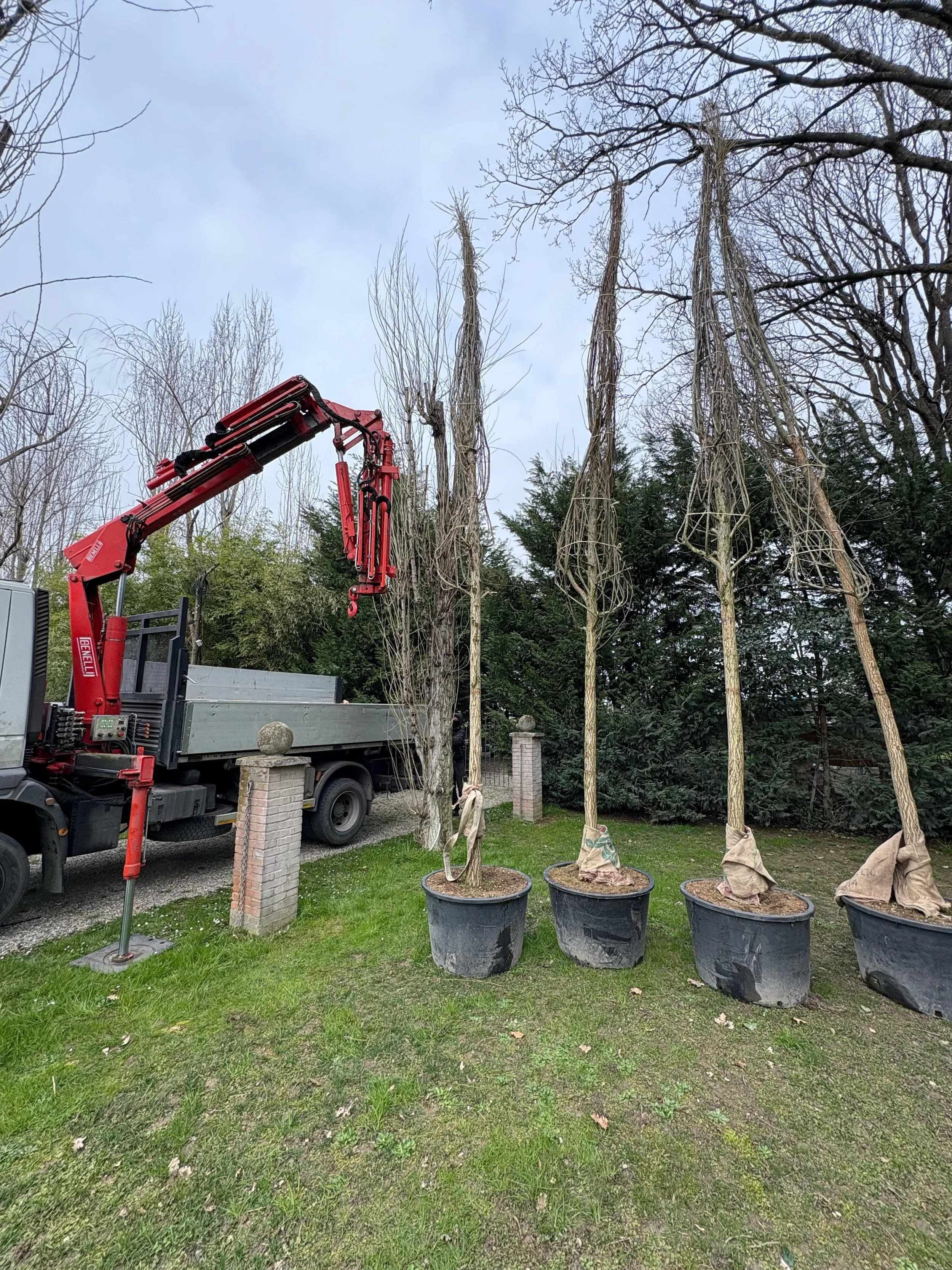 WhatsApp Image 2026-04-08 at 20.55.26.jpeg