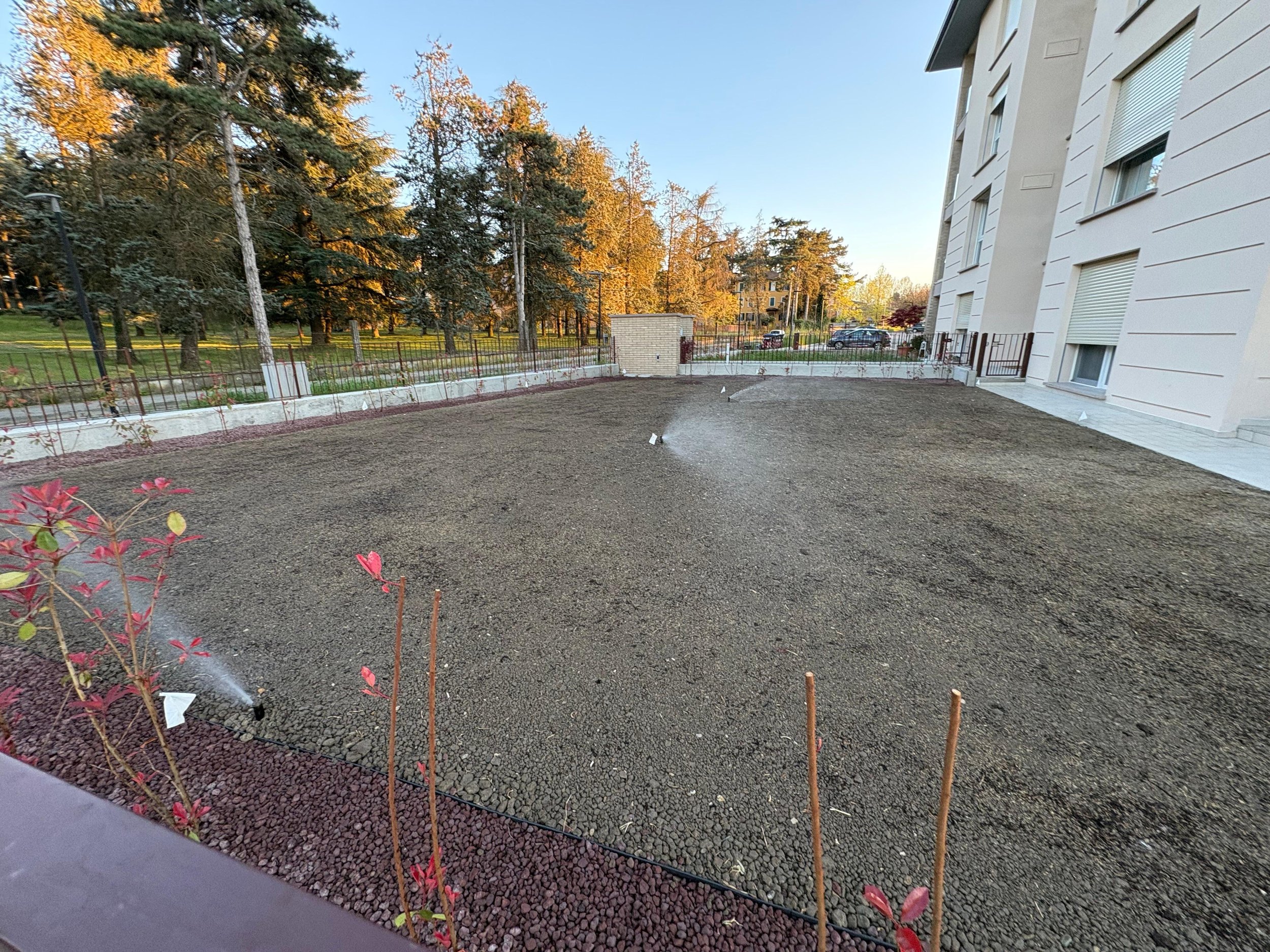 WhatsApp Image 2026-04-08 at 21.11.48.jpeg