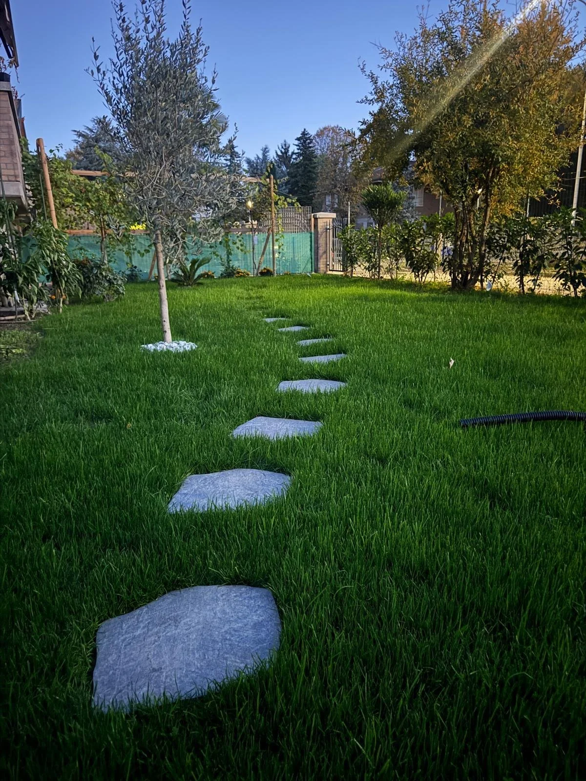 WhatsApp Image 2026-04-08 at 20.51.36.jpeg