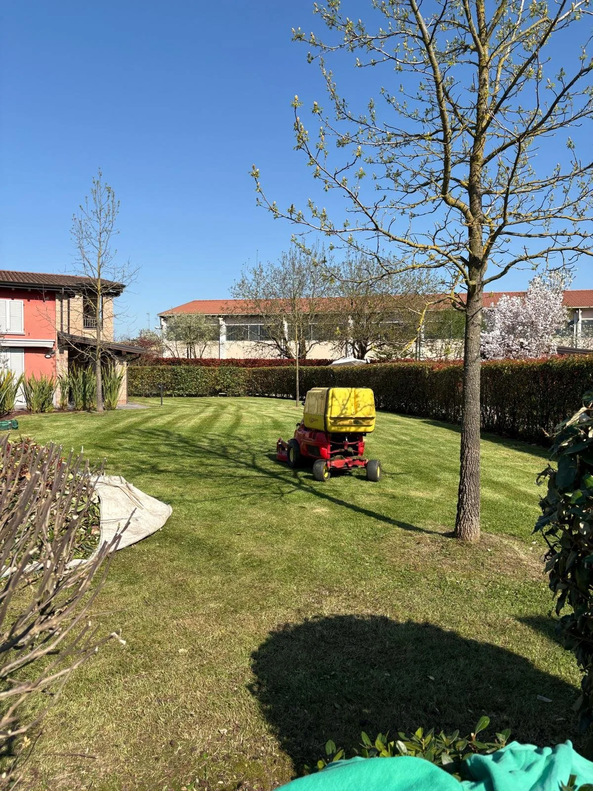 WhatsApp Image 2026-04-08 at 20.52.55.jpeg