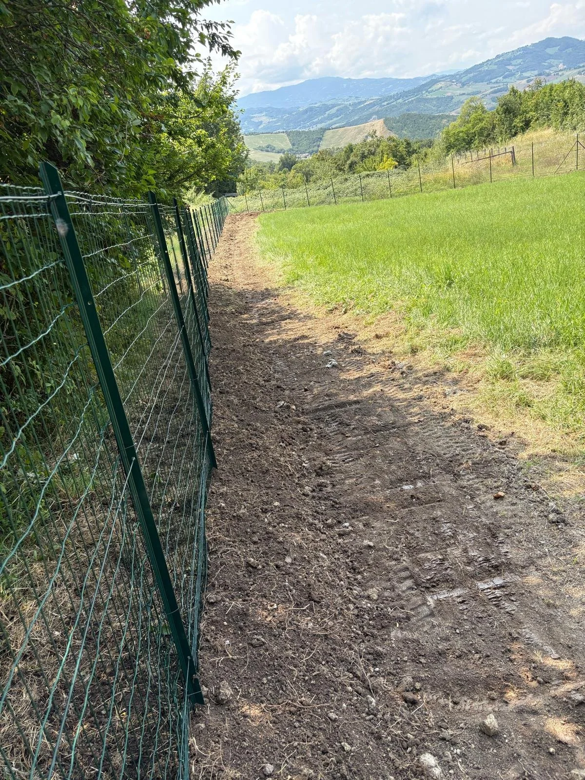 WhatsApp Image 2026-04-08 at 20.50.52.jpeg