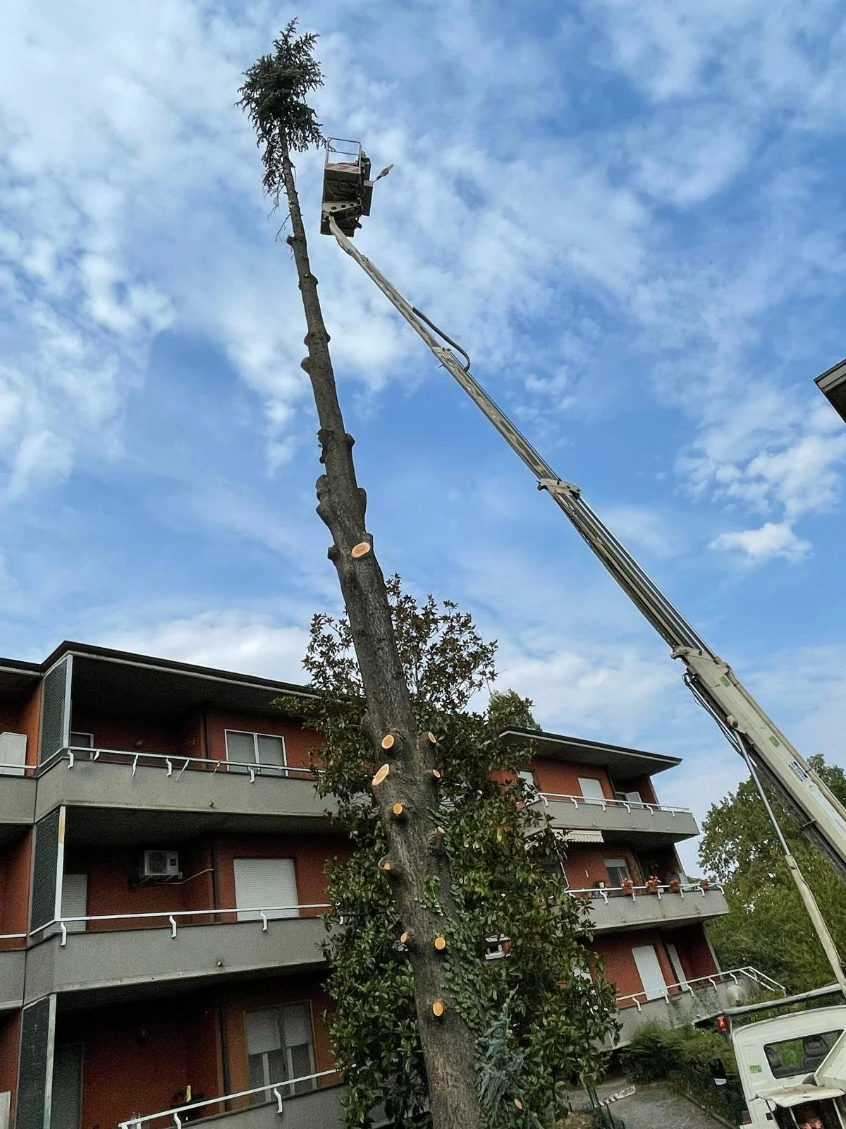 WhatsApp Image 2026-04-08 at 20.49.37.jpeg