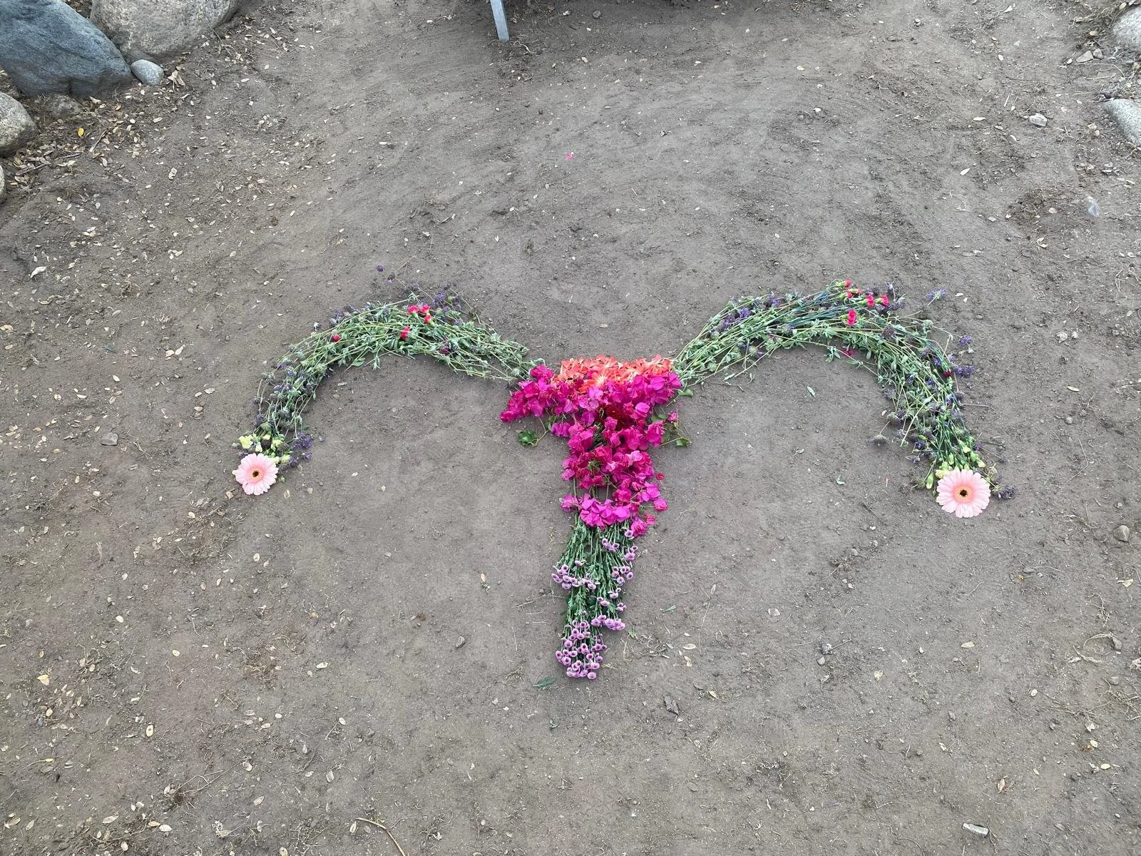 womb flower 2.jpg