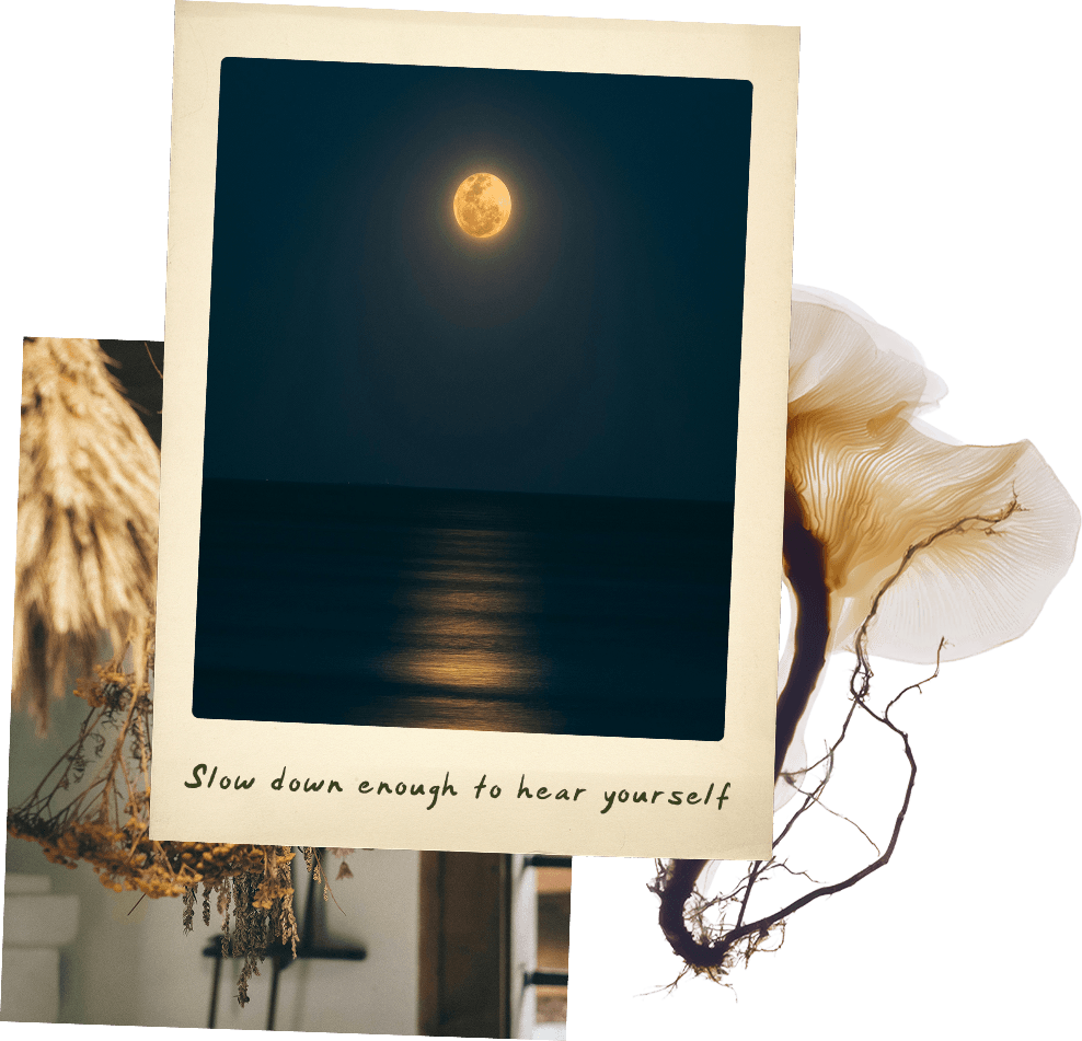 collage of moon and flowers