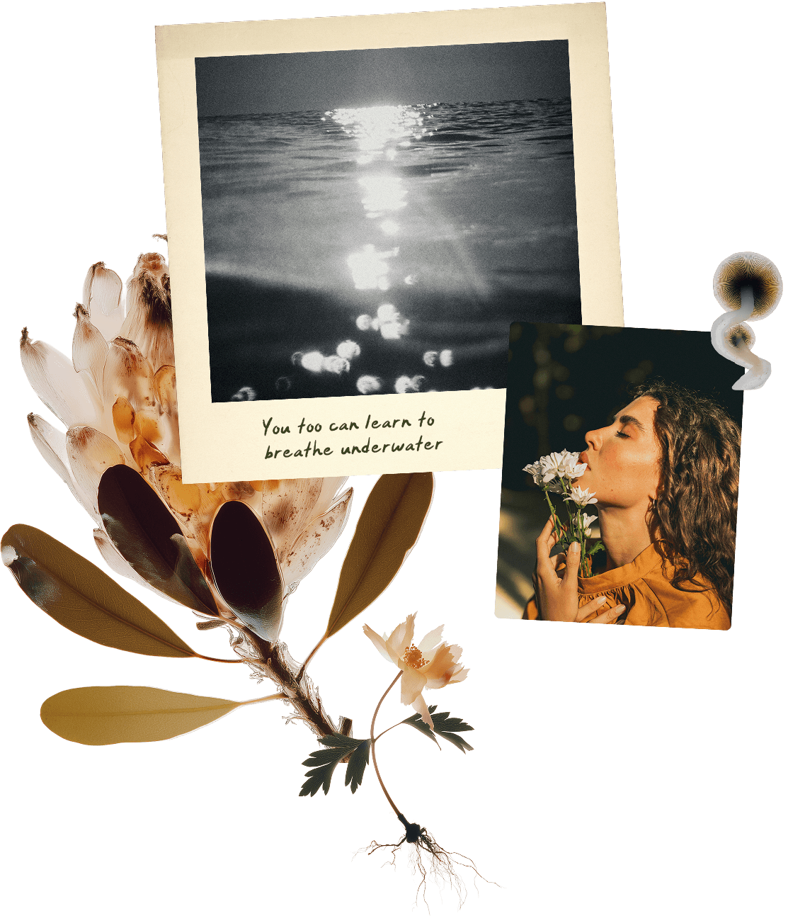 chelsea rose cotton personal retreats