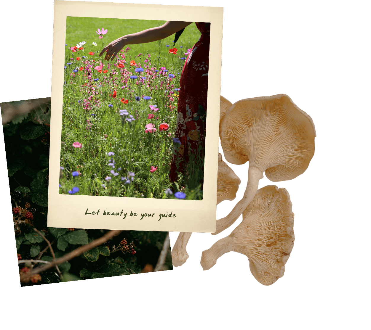 Photograph of colorful wildflowers with a hand reaching out, and a woman in a floral dress, with the quote "Leadership transforms everything" written below.