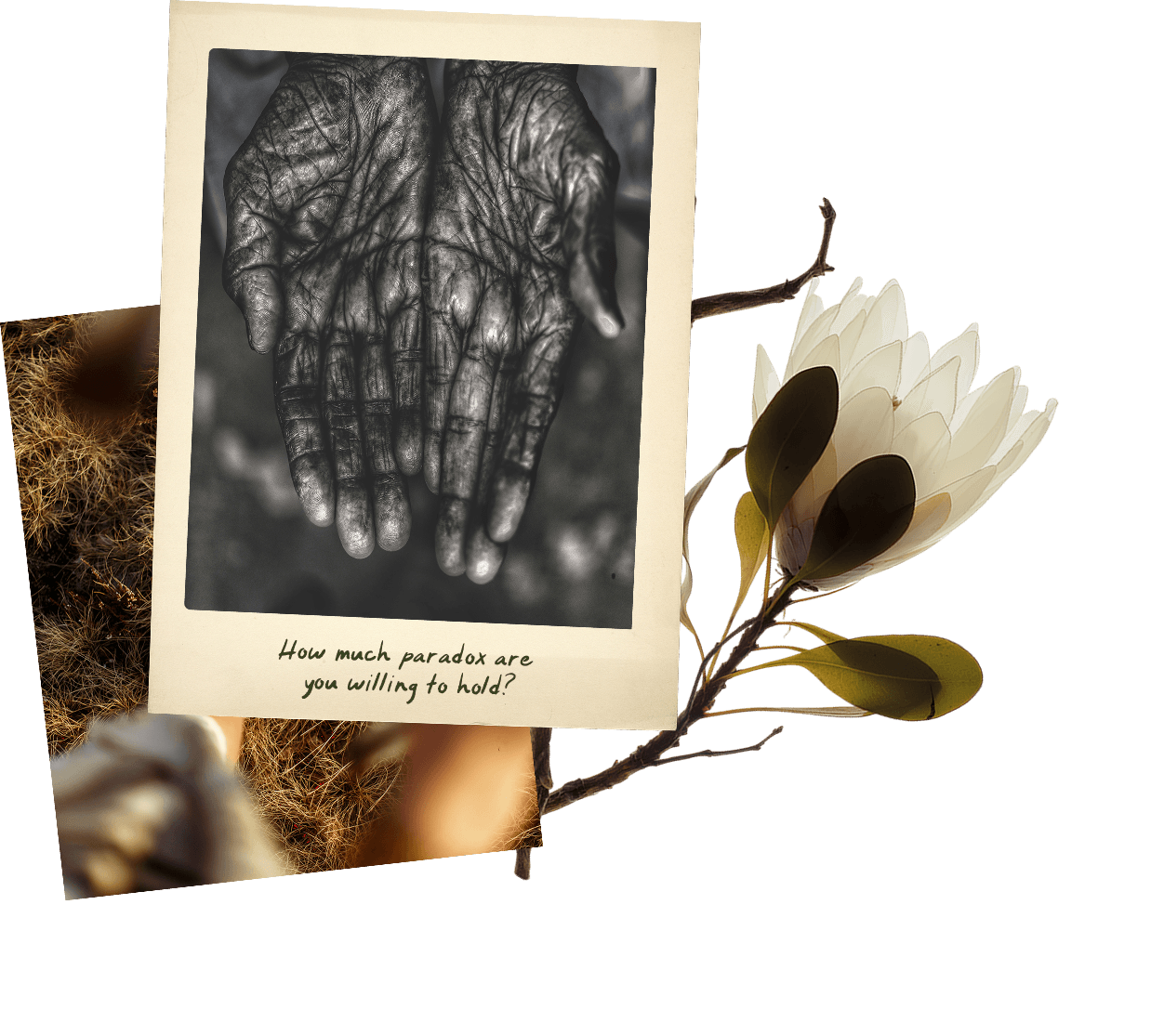 Ancient hands reaching out in support the photo says how much paradox are you willing to hold?