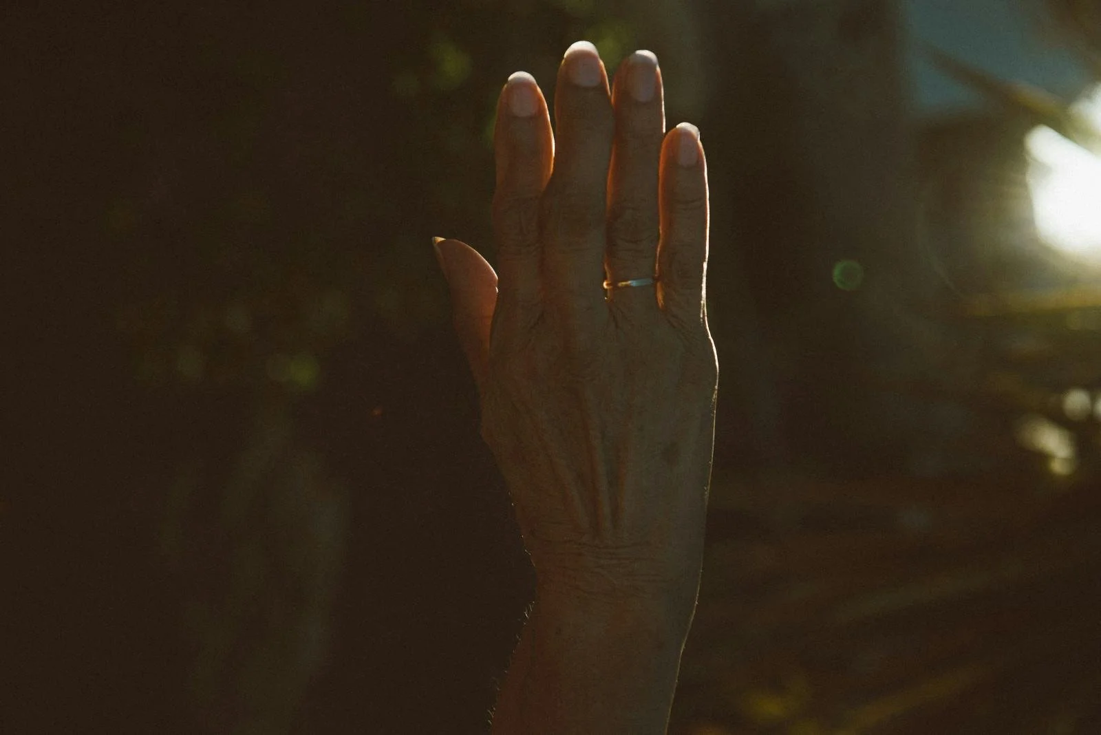 A person's hand with a simple ring on the ring finger, raised palm facing left, silhouetted against a dark background with sunlight.